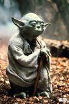 Star Wars' - Yoda  - V Maxi Paper Poster