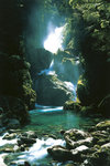 New Zealand Waterfall - Maxi Paper Poster