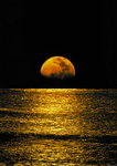 Moonlight Ocean Paper Poster