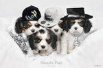 Keith Kimberlin - Gangsta Pups - Maxi Paper Poster