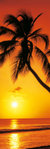 Palm Tree Golden Sunset - Door Paper Poster