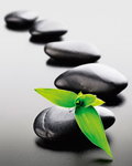 Zen Stones Green - Mini Paper Poster