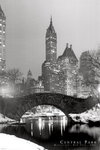 Laminated - New York Central Park Manhattan - Giant Poster