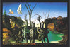 Salvador Dali - Swans & Elephants Maxi Paper Poster