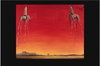 Salvador Dali - Les Elephants Maxi Paper Poster