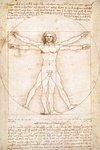 Leonardo Da Vinci - Schema delle Proporzioni - Maxi Paper Poster
