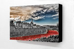 Tower Of London Poppies H Block Mounted Print